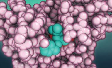 ORG Molecular Explorations through Biology and Medicine PDB-101 is the educational portal of the RCSB PDB developed for teachers, students, and the general public to promote exploration in the 3D