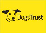 STRAY DOGS SURVEY 2014 SUMMARY REPORT A report prepared for Dogs Trust Prepared by: Your contacts: GfK NOP Social Research