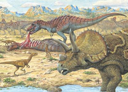 Cretaceous North merica F I C P C I O C E N Interior Seaway SI GREENLND N O R T H M E R I C EUROPE CLSH OF THE TITNS Triceratops was the best-known of a new group of plant-eating dinosaurs, the
