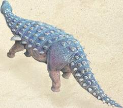 It would rush at its victims and bring them down with its teeth or claws. Its tiny arms could have been used to pin down prey. Silvisaurus Silvisaurus s skull had wide nasal passages.