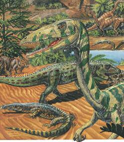 The Jurassic (opposite, above) was the heyday of the gigantic sauropods, like Diplodocus.