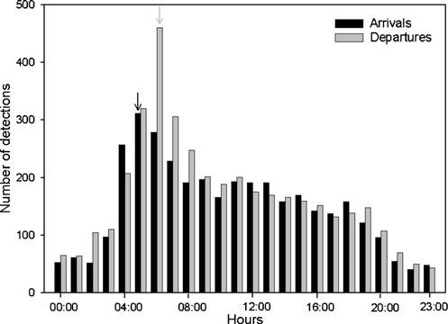 1152 Behav Ecol Sociobiol (2010) 64:1145 1156 Table 3 Dependence of king penguin colony arrivals and departures on time and luminosity levels (Possession Island) Significance of smoothed predictor