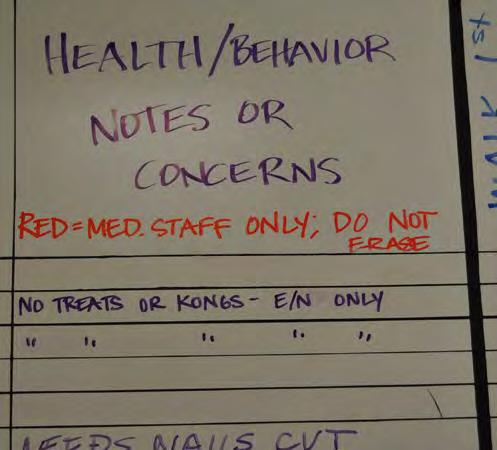 8. The walking board is where volunteers make comments about: Behavior of concern Tips for other volunteers interacting with the animal Any medical or health issue the vet staff should be made aware