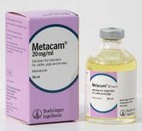 Results Study suggests meloxicam has
