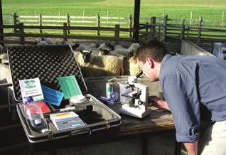 Introduction Parasite Control getting it right Choosing the right product and getting the most from it are key factors in ensuring optimum livestock performance at least cost and reducing the risk of