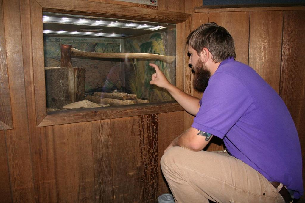 In the Manatee Tunnel we will see snakes behind glass and fish in aquariums.