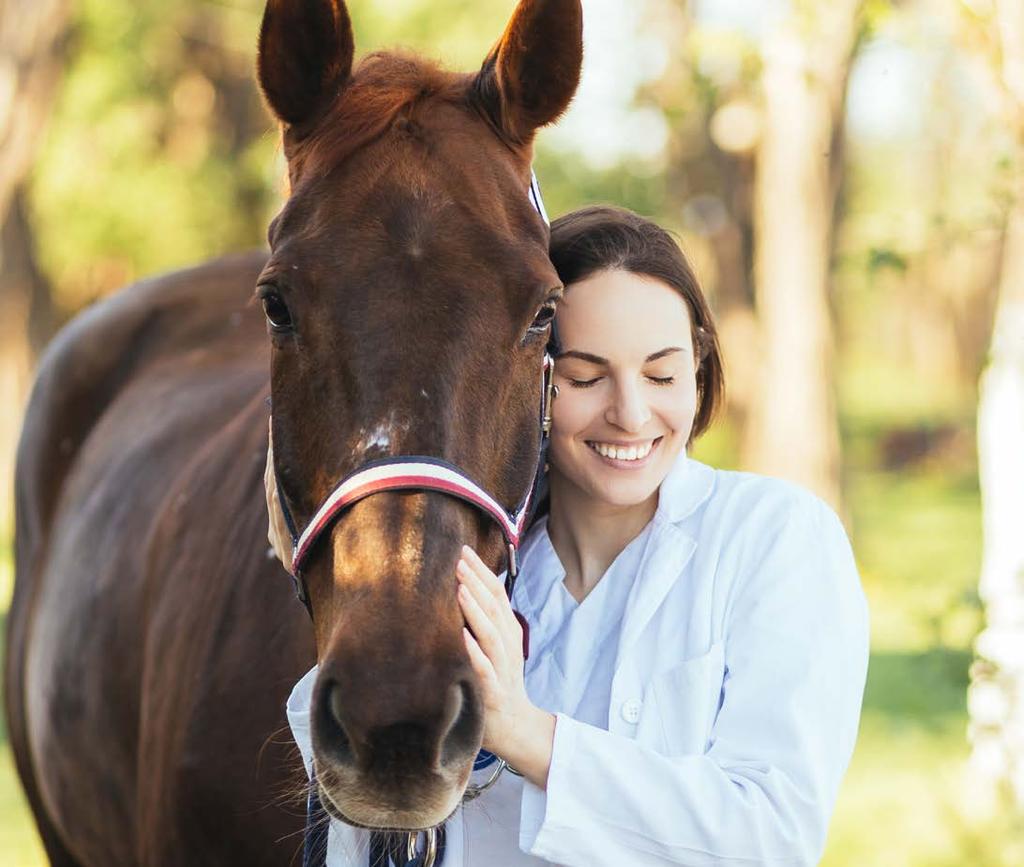 ReBalance (Sulfadiazine and Pyrimethamine) The challenge of EPM Equine protozoal myeloencephalitis (EPM) is a common, progressive neurological disease found in horses in North and South America.