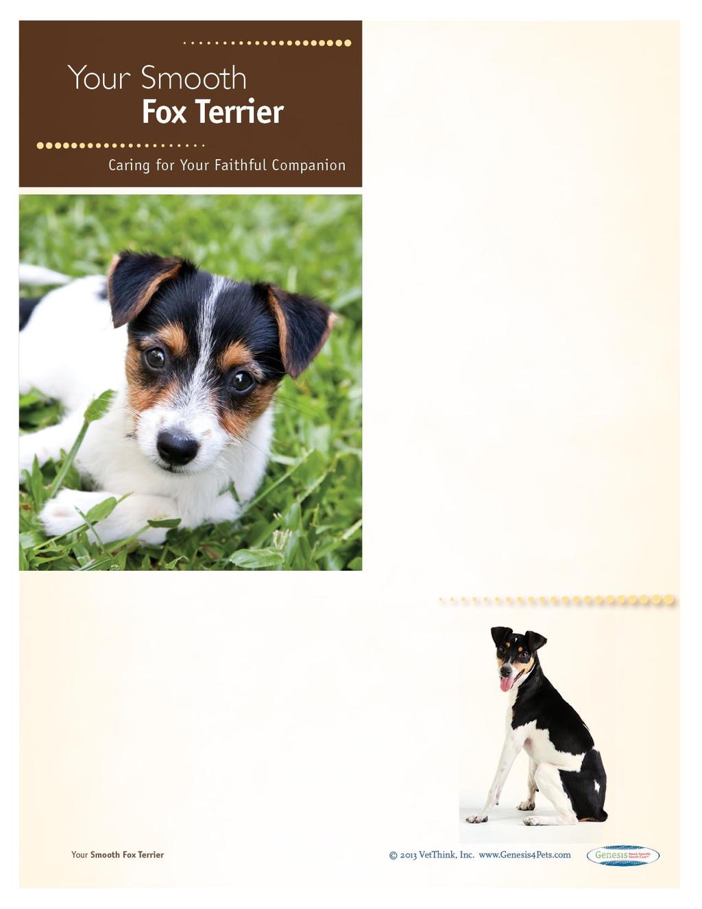 Smooth Fox Terriers: What a Unique Breed! Your dog is special! She's your best friend, companion, and a source of unconditional love.