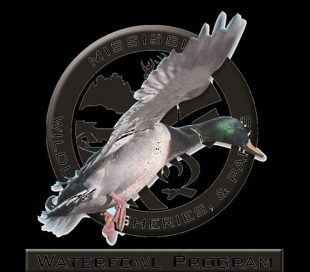 MDWFP Aerial Waterfowl Survey Report December