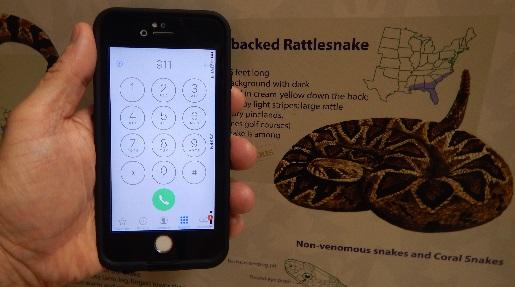 Snakebite Action Plan -Obtain prompt medical care call 911 immediately!