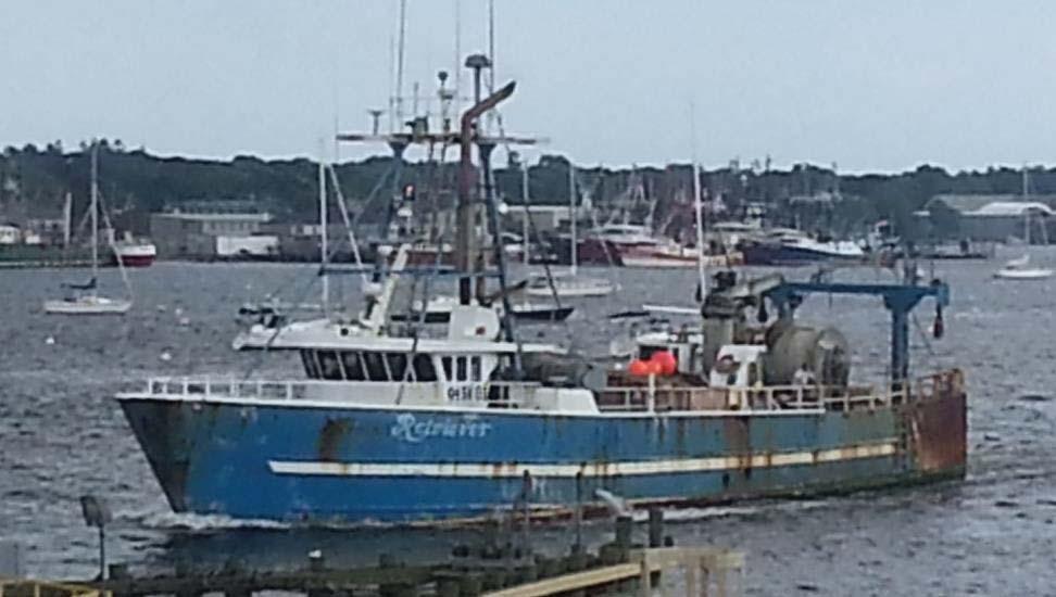 NJ to ME Gloucester, New Bedford, Portland 4 Herring Management Areas with sub-acls 1 coast-wide Mackerel quota 2-5 hauls/trip Pump fish