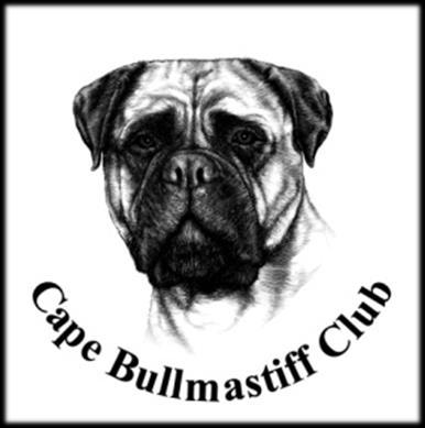 THE CAPE BULLMASTIFF CLUB FEBRUARY 2017 FROM THE CHAIR: THE BULLMASTIFF AND THE BOERBOEL Bullmastiff Boerboel Both the Bullmastiff