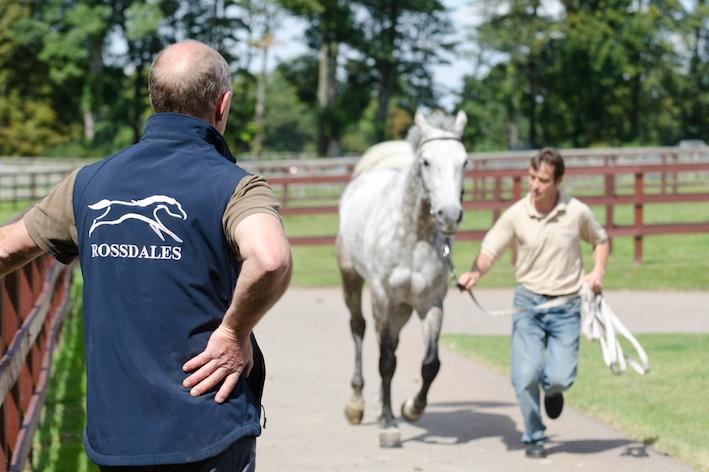 Rossdales innovative IT in practice Newmarket-based Rossdales is an internationally renowned equine veterinary practice providing first opinion, emergency, diagnostic, referral and laboratory