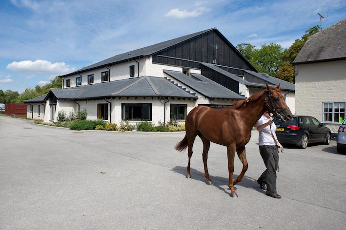 Rossdales Equine Hospital and Diagnostic Centre is located in Exning village, just outside Newmarket.