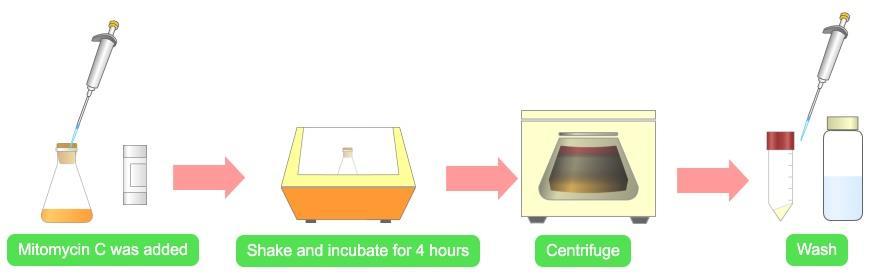 Figure 15: Colicin Extraction Alterations were made to this procedure as the extraction process continued.