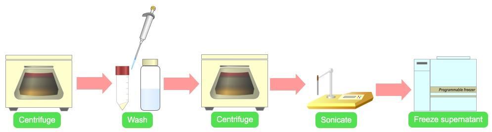 Another change was also made after the supernatant was obtained by sonication and centrifugation.