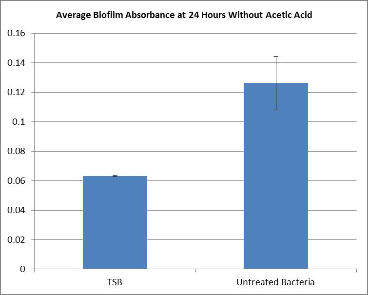 Figure 20: Average Biofilm Absorbance at 24 Hours without Acetic Acid using P.