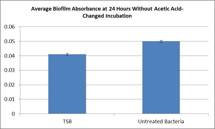 Figure 26: Average Biofilm Absorbance at 24 Hours without Acetic Acid- Changed Incubator using P.