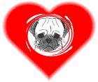 - 11 Michigan Pug Rescue (MPR) Checklist PUG LUV FORMS CHECKLIST The Adoption Application is filled out completely The Veterinary Information Release form for each vet your pets have seen A Second