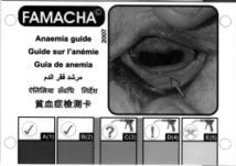 Precautions FAMACHA only applicable where Haemonchus is the main worm causing clinical disease Conjunctival redness can be caused by eye disease, environmental irritants, and systemic disease FAMACHA