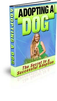 Adopting A Dog The Secrets to a Successful Adoption! 2200+ ebooks for members, 1700+ ebooks with resell rights: http://www.buy-ebook.