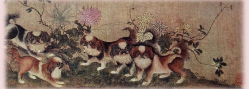 Pekingese from a Chinese scroll So we know that the Shih Tzu goes back to dogs of Tibetan origin, but we must also now look at the dogs which were then in China and with which these dogs were crossed.