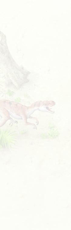 The ankylosaurs were tank-like dinosaurs, covered with hard, bony plates.