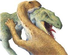 Iguanodon Talarurus Acrocanthosaurus POWERFUL TAIL Tenontosaurus had few means of defence against such determined killers.