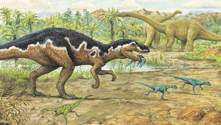 But while the very largest dinosaurs were roughly as long as a football pitch is wide, many dinosaurs were