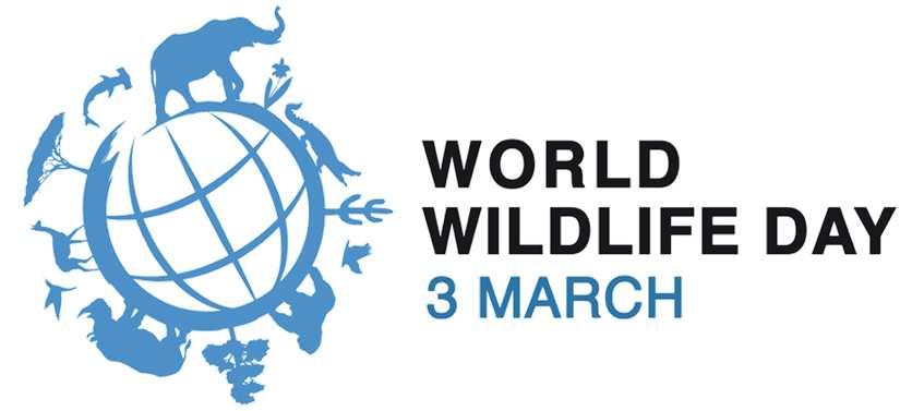 Social media kit for World Wildlife Day 2018 Date: 3 March 2018 Theme: Big Cats predators under threat Main hashtags: #WorldWildlifeDay, #PredatorsUnderThreat, #WWD2018 Supplementary hashtags: