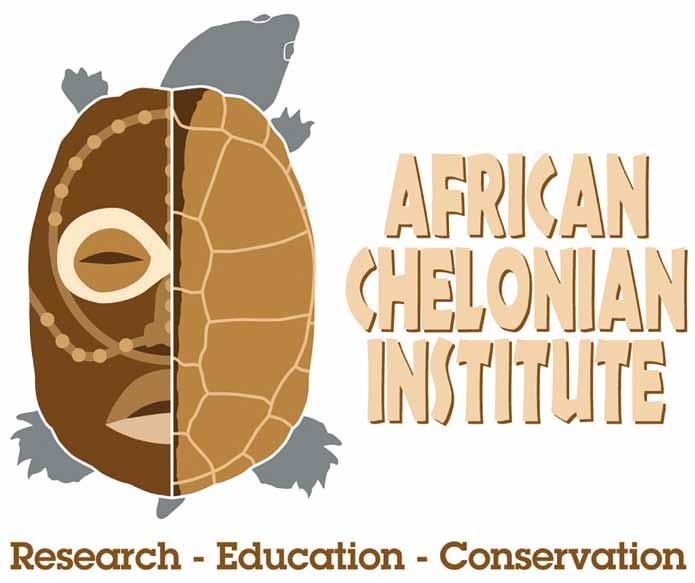 African Chelonian Institute: aims for conservation of turtles, tortoises and terrapins Donations Paypal: africanci@gmail.