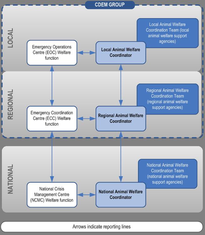 Figure 2 Animal welfare coordination during response and recovery 14.