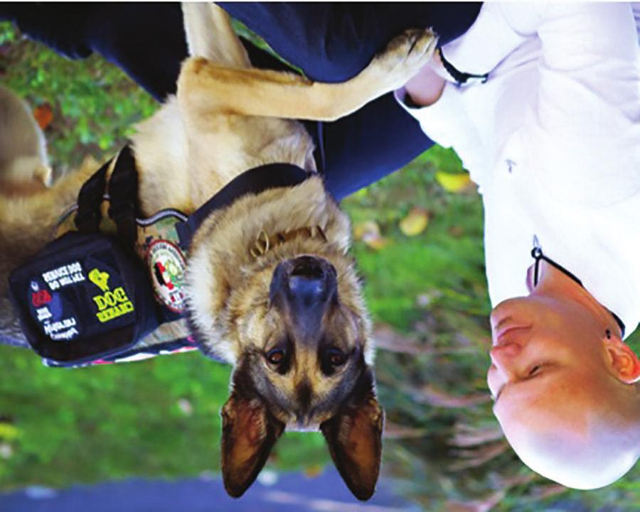 Could a Service Dog help you overcome your Post-Traumatic Stress? You ve come back home from heroically serving your country, but you still don t feel like yourself.