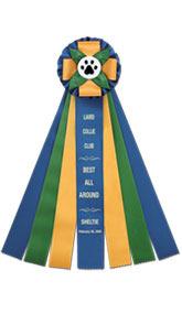 RIBBONS REGULAR CLASSES First Place... Blue Rosette Second Place... Red Ribbon Third Place... Yellow Ribbon Fourth Place... White Ribbon WINNERS.... Purple Rosette Reserve Winners.