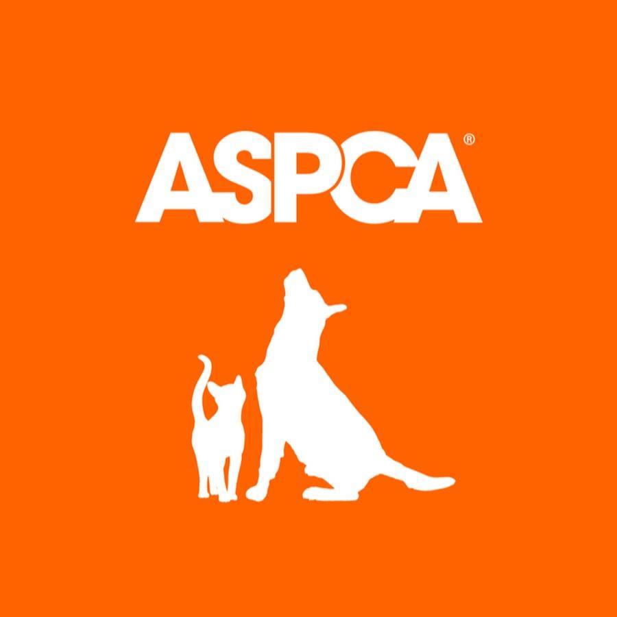 $1,300 grant written through the ASPCA s Northern Tier Shelter Initiative Received funding with