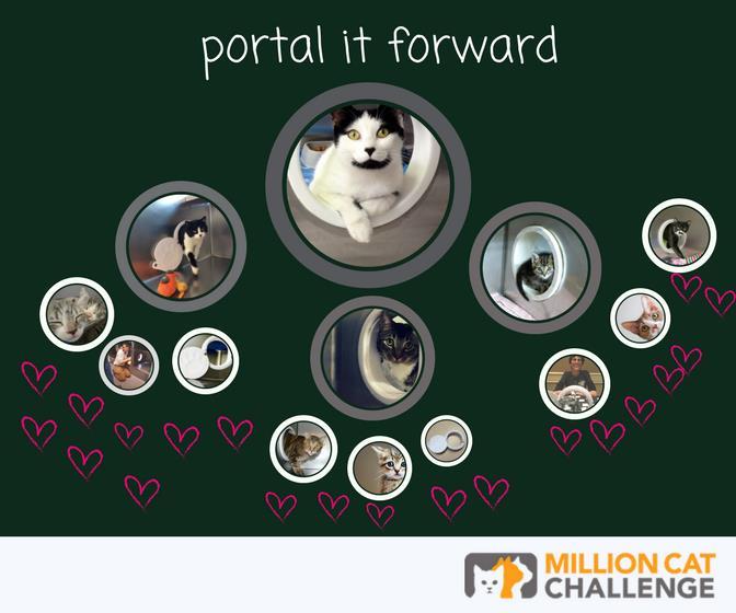 Win up to 30 portals and one template!