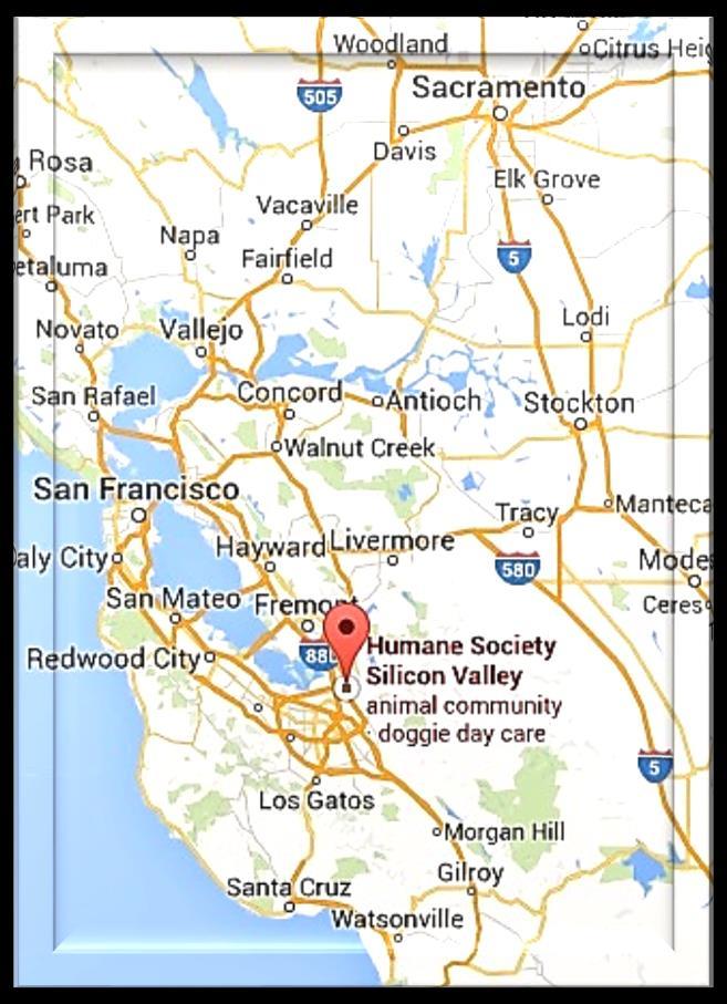 Humane Society Silicon Valley 49,000 sq ft main location Gold LEED Animal Community Center 3