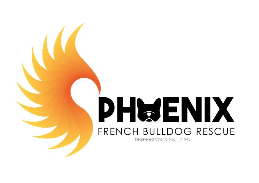SO, YOU THINK A PHOENIX FB RESCUE DOG IS RIGHT FOR YOU?