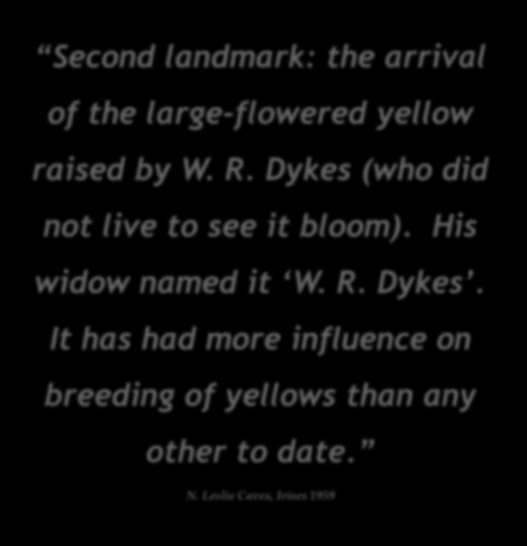 Second landmark: the arrival of the large-flowered yellow raised by W. R. Dykes (who did not live to see it bloom).