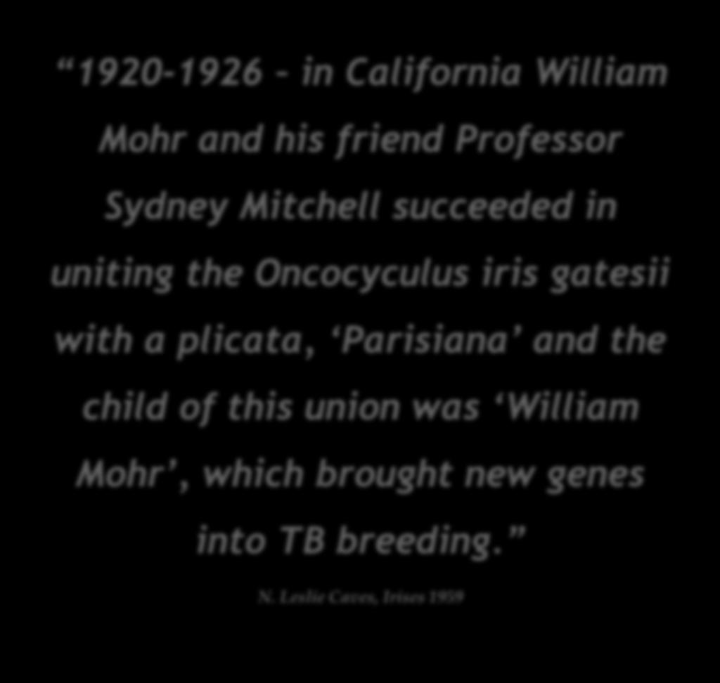 1920-1926 in California William Mohr and his friend Professor Sydney Mitchell succeeded in uniting the Oncocyculus iris gatesii with a