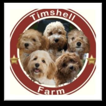 2018 Calendar of Litters * CavaPooChons & Petite Goldendoodles * * CavaPoo s and Cavachons * List of Litters with Puppy Go-Home Dates Puppies Here Now!