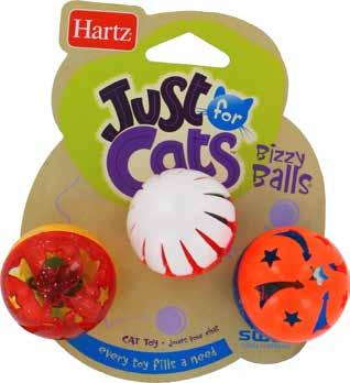 your cats need for
