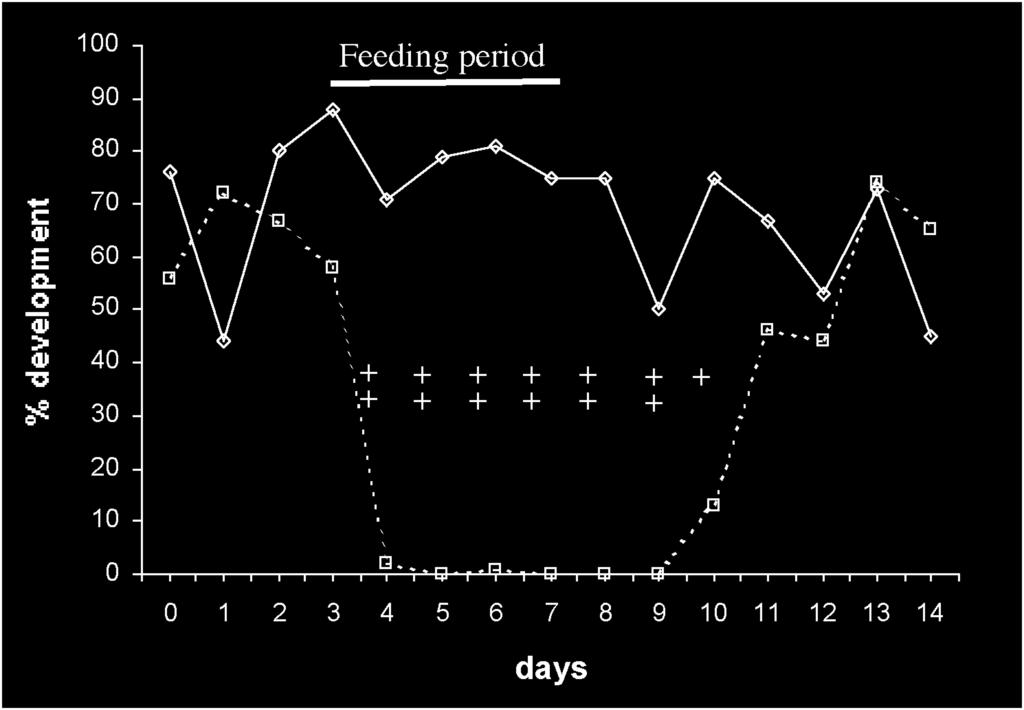 Figure 2: Mean % development of H.contortus eggs to infective larvae in faeces of lambs, untreated or fed 1X10 6 chlamydospore/animal/day Number of + represent the presence of D.