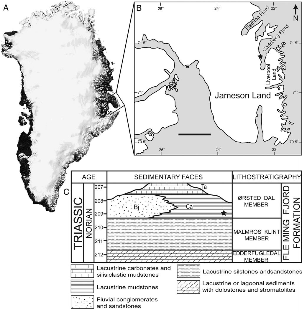 Marzola et al. New Late Triassic amphibian from Greenland (e1303501-3) FIGURE 1.