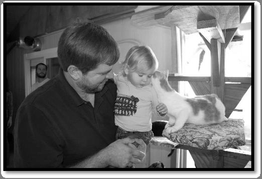 Children and Cats If you have children, it is very important to teach them how to handle and act around your new cat.