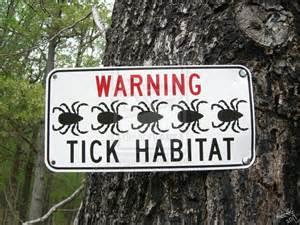 Habitat Ticks are usually found in shady, moist areas Lawns and gardens At the edge of woods Around stone walls