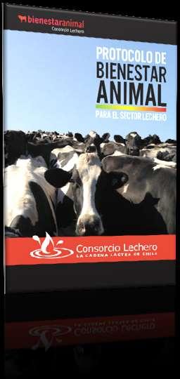 Animal welfare Protocol for Chilean dairy farms The protocol consists of : 4 Principles: 1.