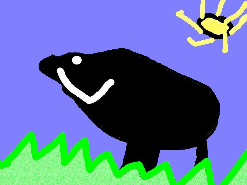 Black Bear My animal is a black bear. It eats plants, nuts and fish.