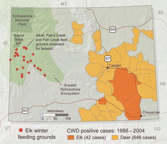 L Bienen and G Tabor Ecosystem approach to brucellosis control approximately 125 000 elk that winter in the state (Drew 2002).