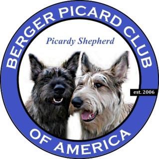Berger Picard Club of America Rescue Adoption Application Giving a Berger Picard a second chance It is not common to see a Berger Picard. Even less so to find one in need of a forever home.